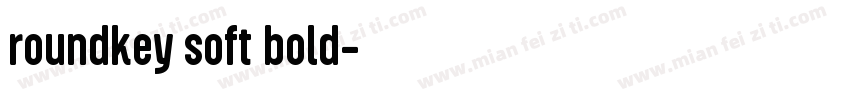 roundkey soft bold字体转换